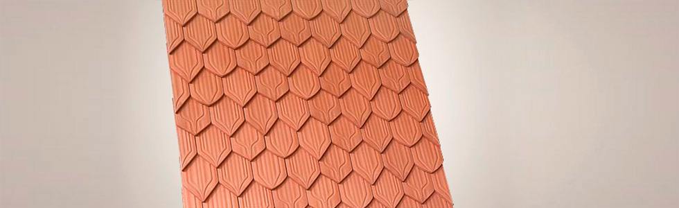 tuile plates pointue rouge nature.jpg