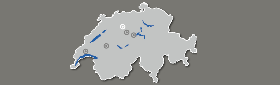 agzstandortroggwil.jpg